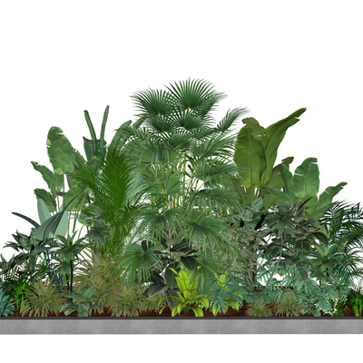  现代灌木绿植su模型 