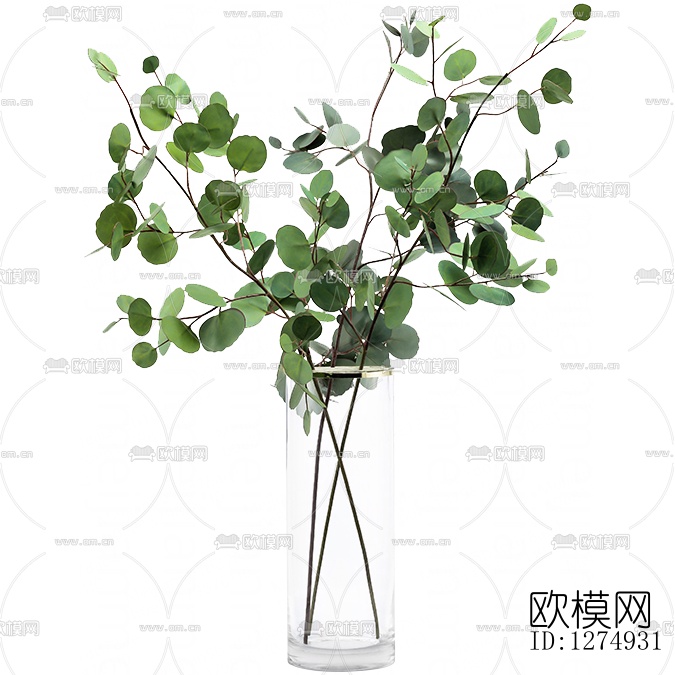 现代简约绿植下载