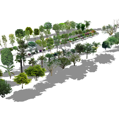  现代树木乔木景观树su模型 