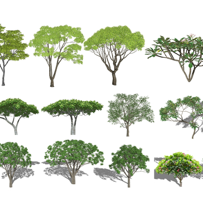 现代景观树灌木香樟榕树鸡蛋花su模型