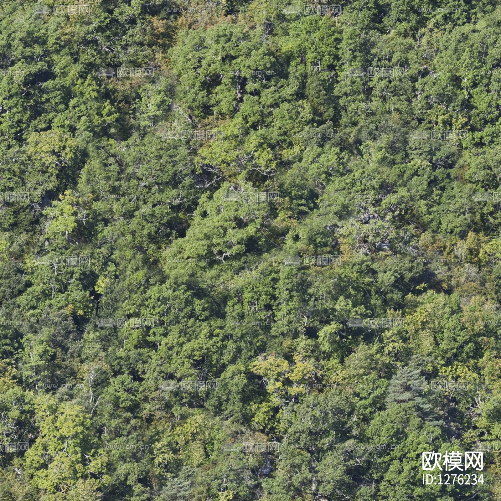 山林贴图-免费3dmax模型库-欧模网