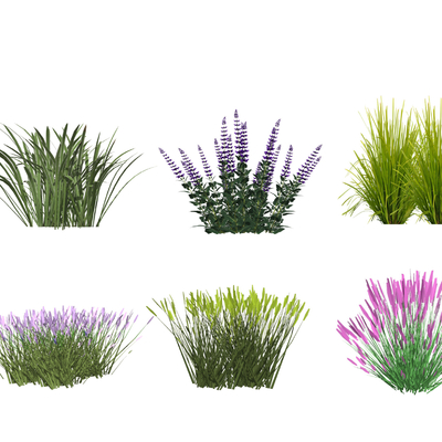  现代芒草芦苇草花su模型 