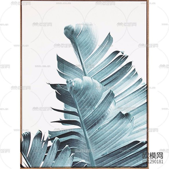 北歐簡約植物攝影裝飾畫下載