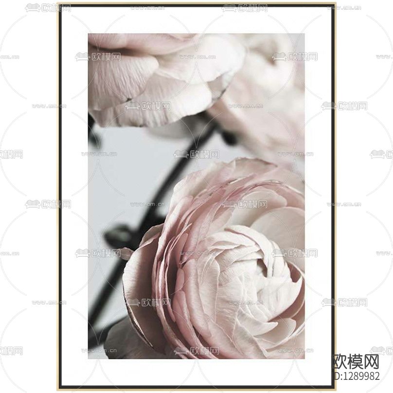 法式花卉摄影装饰画下载