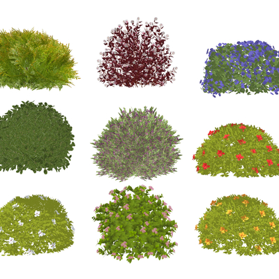  现代球形灌木su模型 