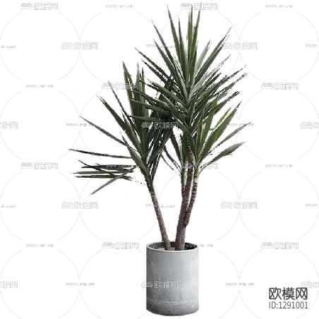 现代简约落地摆放绿植下载