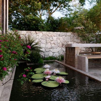 现代庭院荷花水池景观3d模型