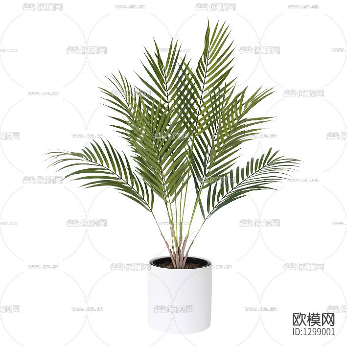 现代简约绿植摆件下载