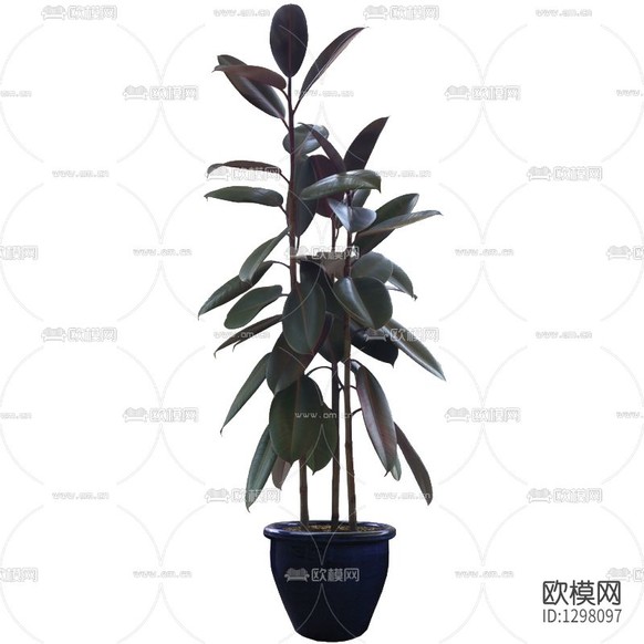 现代简约落地绿植下载
