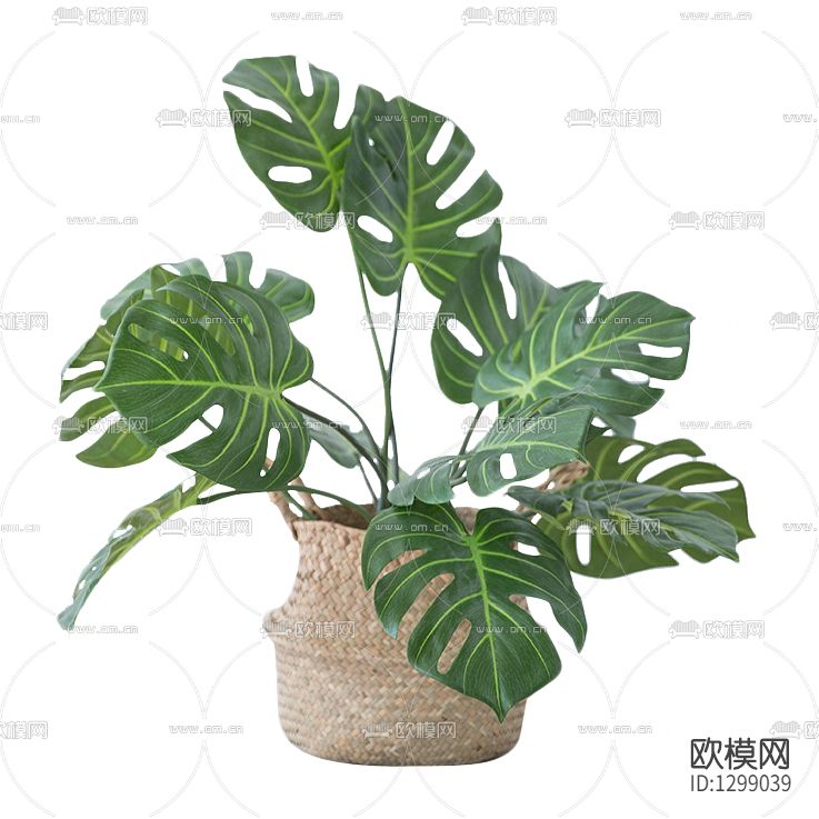 现代简约绿植摆件下载