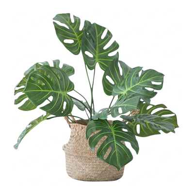  现代简约绿植摆件 