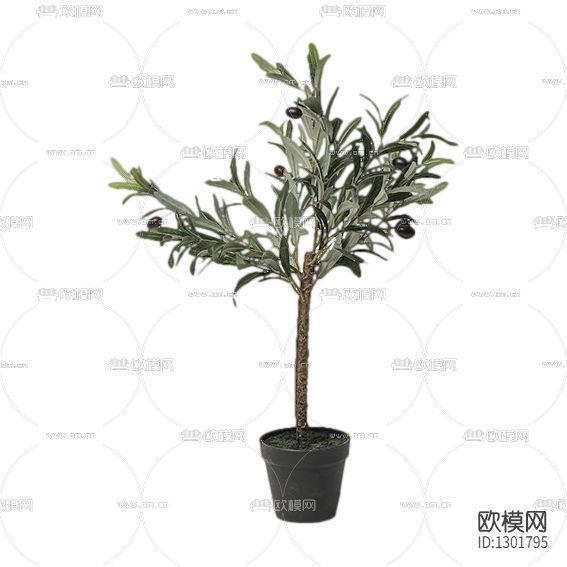 现代简约绿植摆放花艺下载
