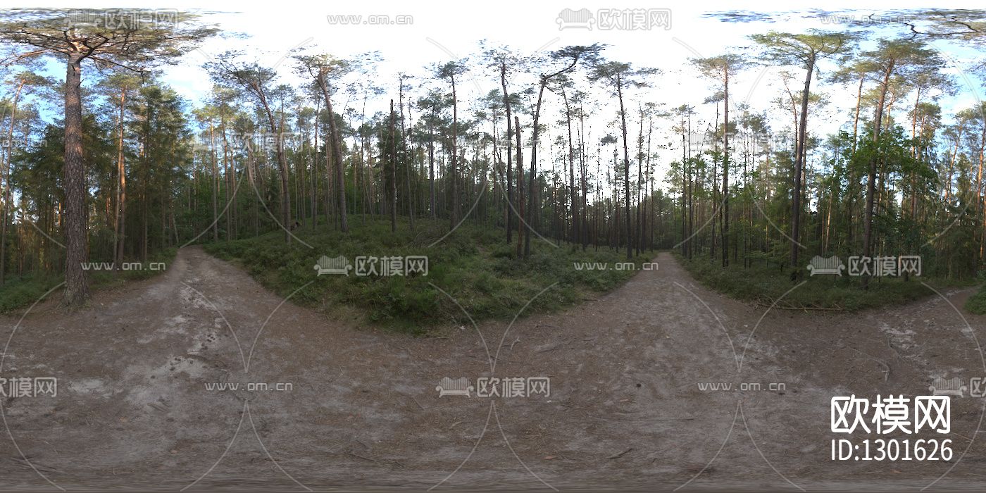 森林道路hdr贴图