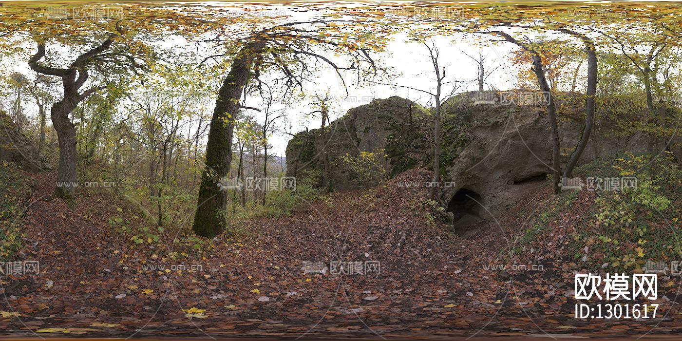 荒地森林hdr贴图