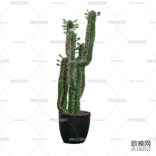 现代简约绿植仙人掌盆栽