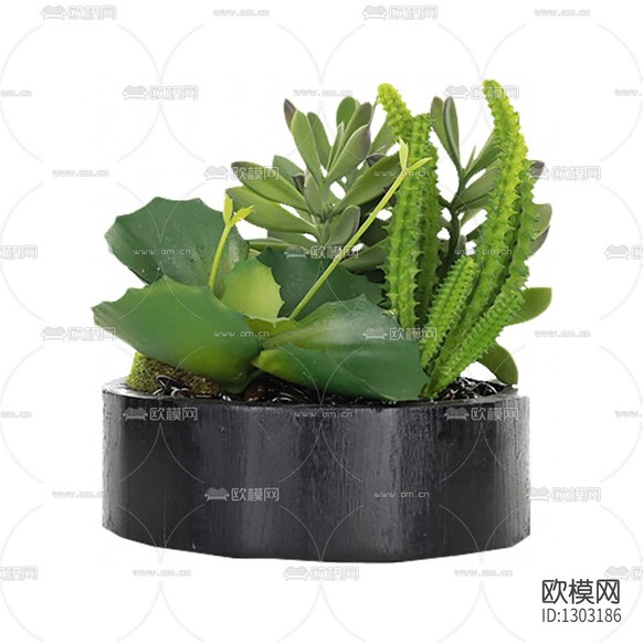 现代简约仙人掌圆木盆景下载