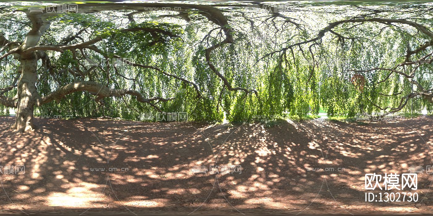 杨柳树荫hdr贴图下载