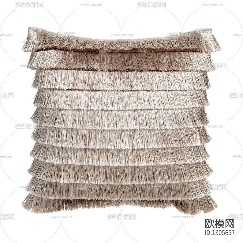 现代轻奢流苏抱枕下载