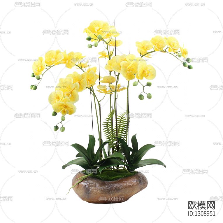 中式陶瓷花瓶花艺蝴蝶兰盆栽