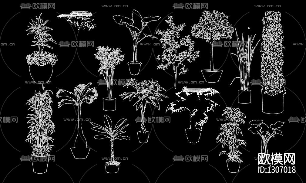 植物装饰素材cad图库下载（渲染图9）