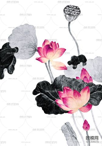 水墨荷花下载（渲染图8）