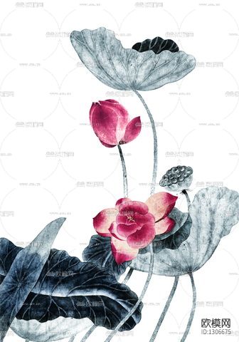 水墨荷花下载（渲染图9）