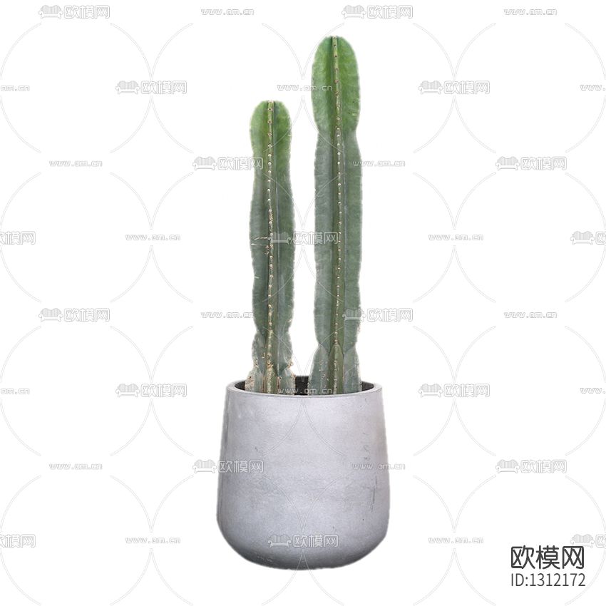 现代简约水泥盆仙人掌绿植盆栽