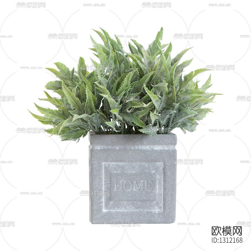 北欧简约多肉绿植盆栽