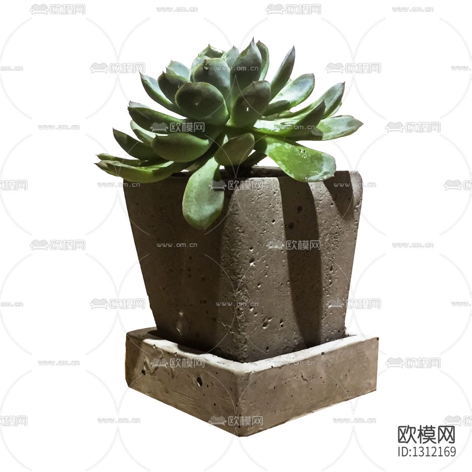 北欧简约多肉绿植盆栽