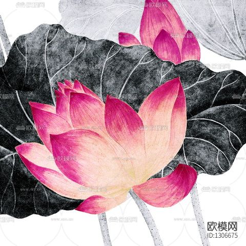 水墨荷花下载（渲染图7）
