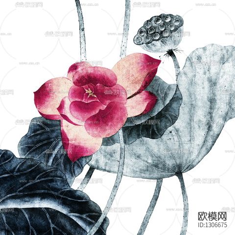 水墨荷花下载（渲染图6）