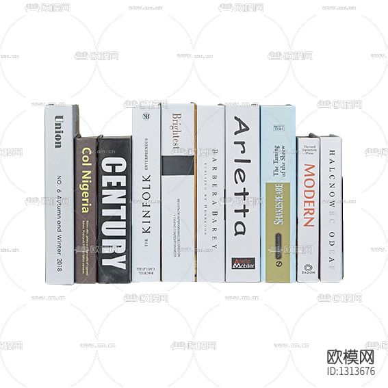 现代简约书籍摆件