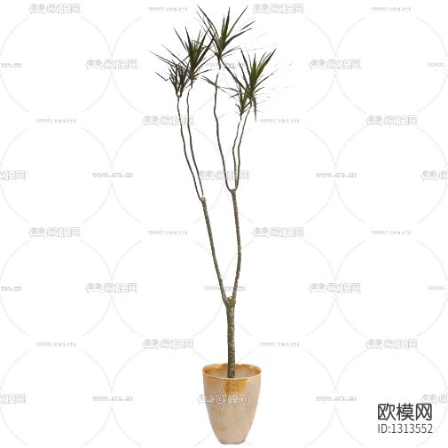 北欧简约绿植盆栽下载