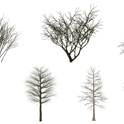  现代枯树su模型 