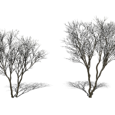 现代雪景枯树su模型 