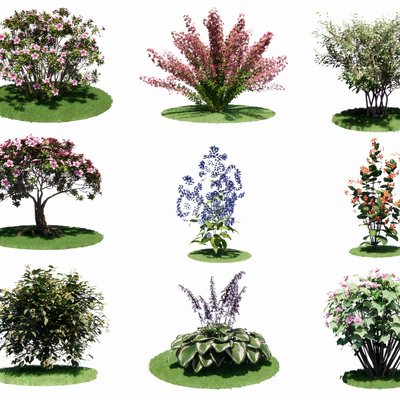  现代杜鹃花金银花su模型 