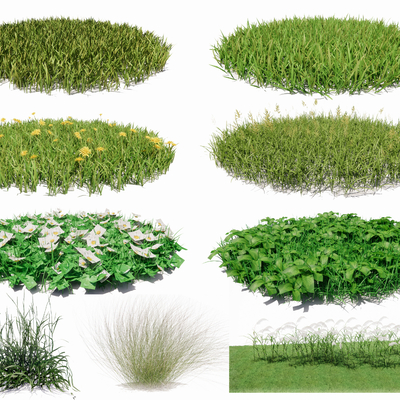  现代白茅草草地小草su模型 