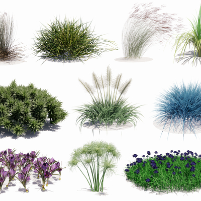  现代茅草芦苇花草su模型 