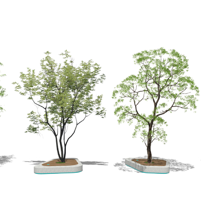  新中式树池景观树su模型 