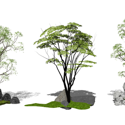  新中式乔木景观树su模型 