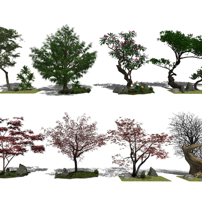  现代景观树su模型 