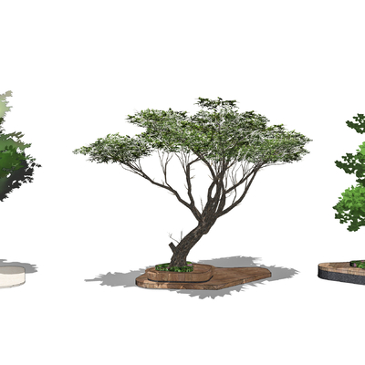  现代树池景观树su模型 