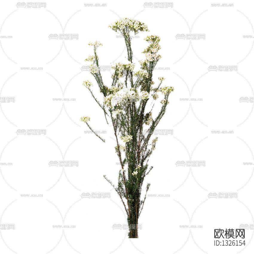 北欧简约干支花艺下载