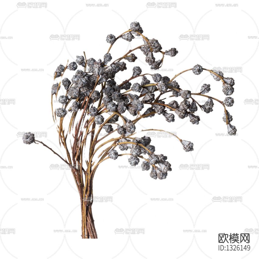 北欧简约干支花艺下载