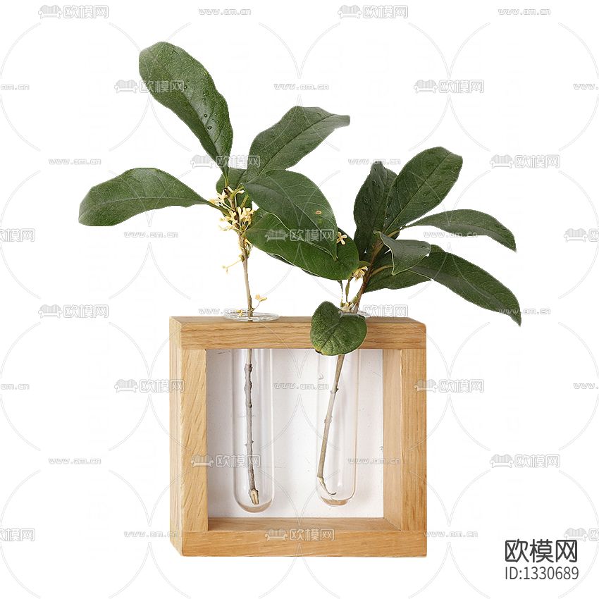 北欧简约实木墙挂绿植下载