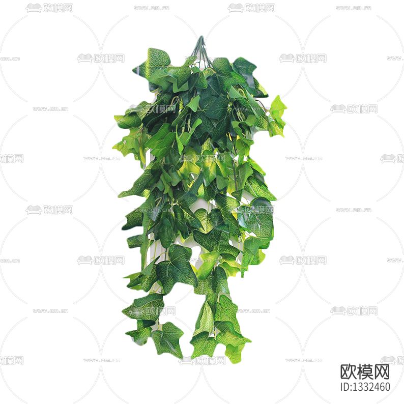 现代简约挂壁绿植藤蔓