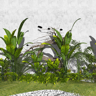  现代花草绿植su模型 