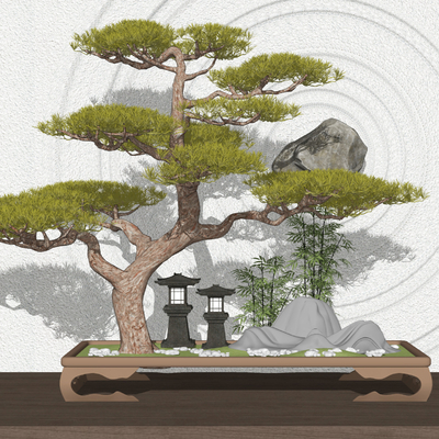 新中式罗汉松树盆栽su模型