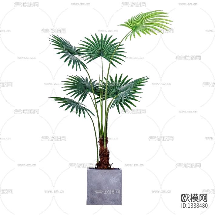 北欧简约威夷葵假落地绿植