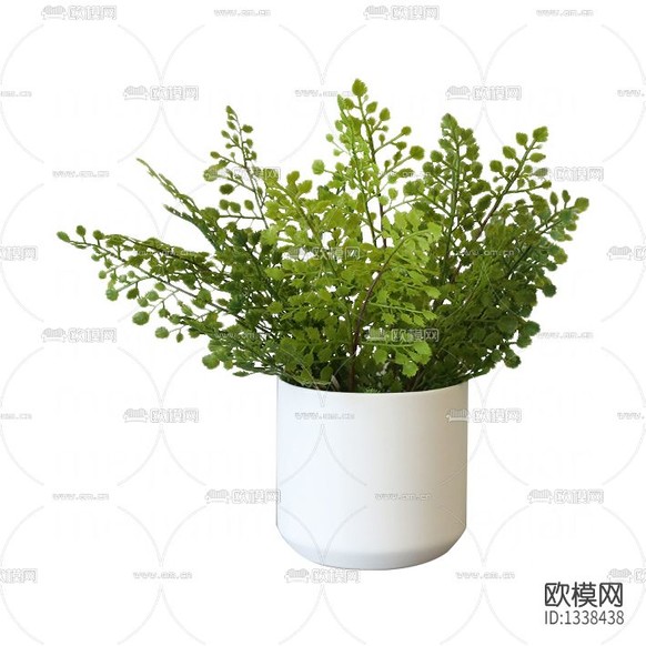 現(xiàn)代簡約陶瓷花瓶擺放綠植下載